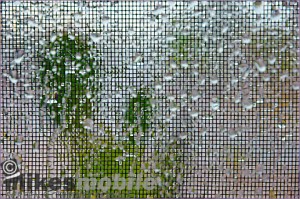 cleaning-Solar Screens last