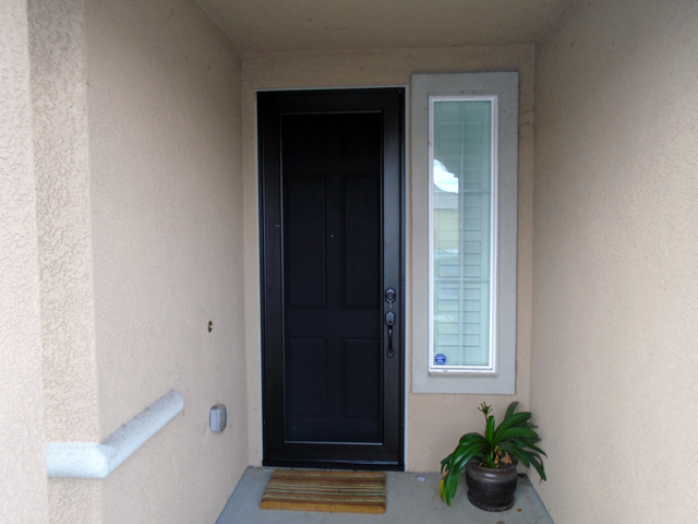 Viewguard Security Door
