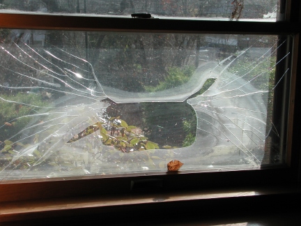 Popped Argon Window Solar Screens Save you Money
