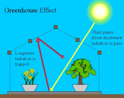 Greenhouse Effect solar screens can cool your house