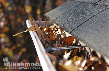 gutter cleaning danville
