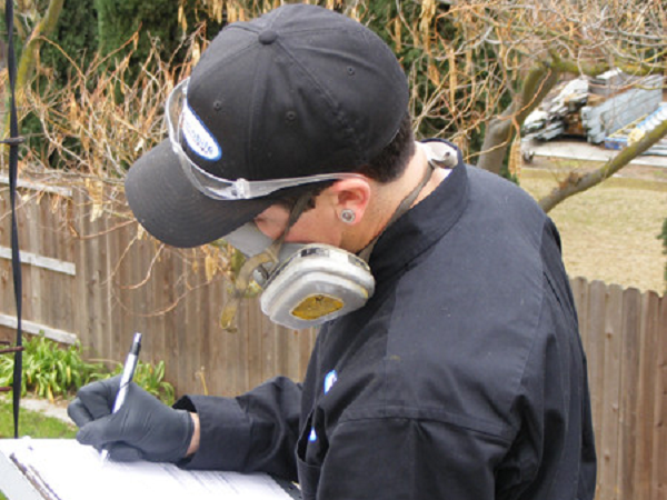 chimney inspection nfi csia