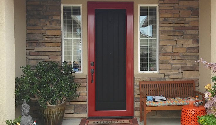 Viewguard Security Door