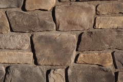 fieldledge