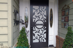 custom-steel-security-door-vineyard