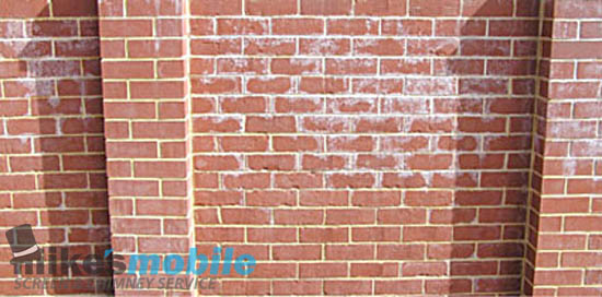 brick-efflorescence